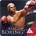 真实拳击安卓版