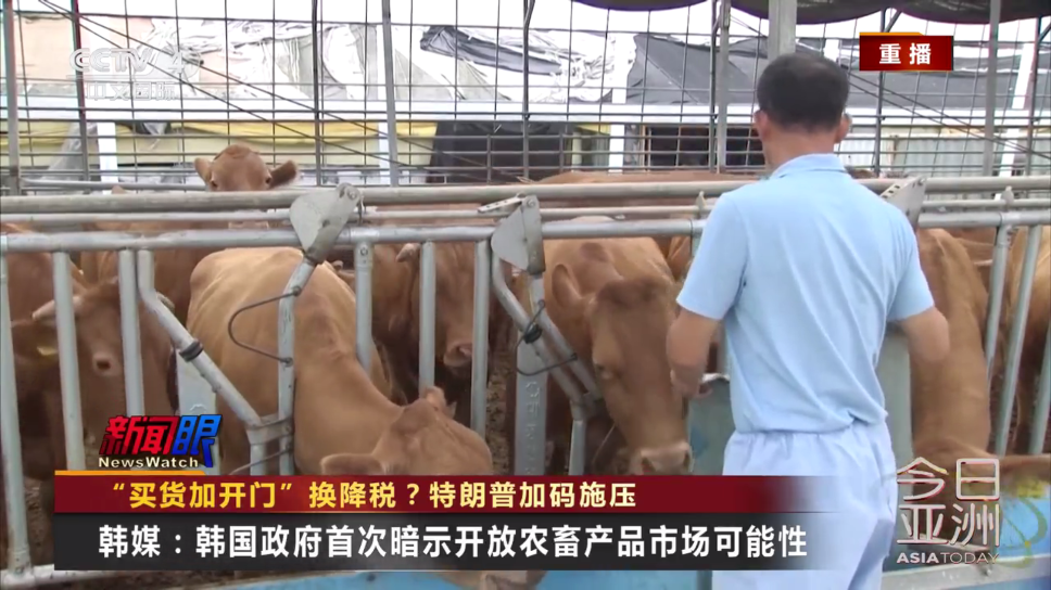 蓝光4k影视app手机版截图2