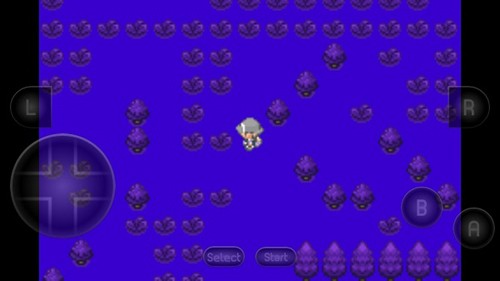 口袋妖怪生与死内置菜单