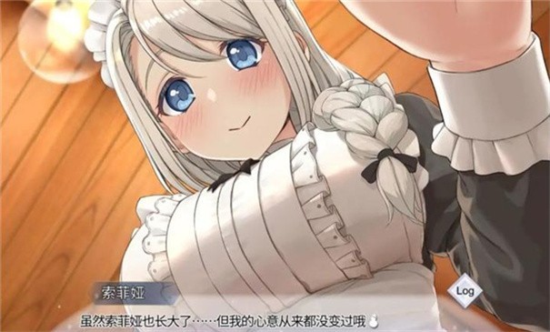 我与索菲亚的秘密汉化版游戏安装