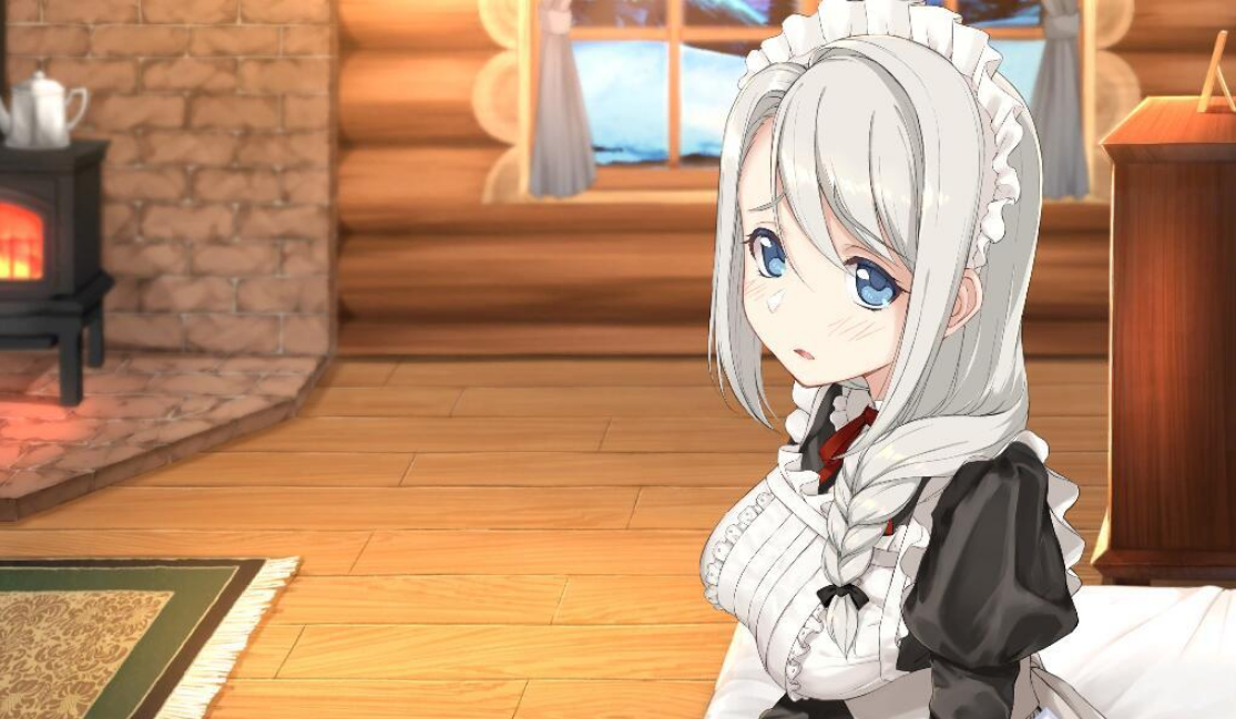 我与索菲亚的秘密