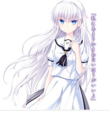 夏日口袋手机版