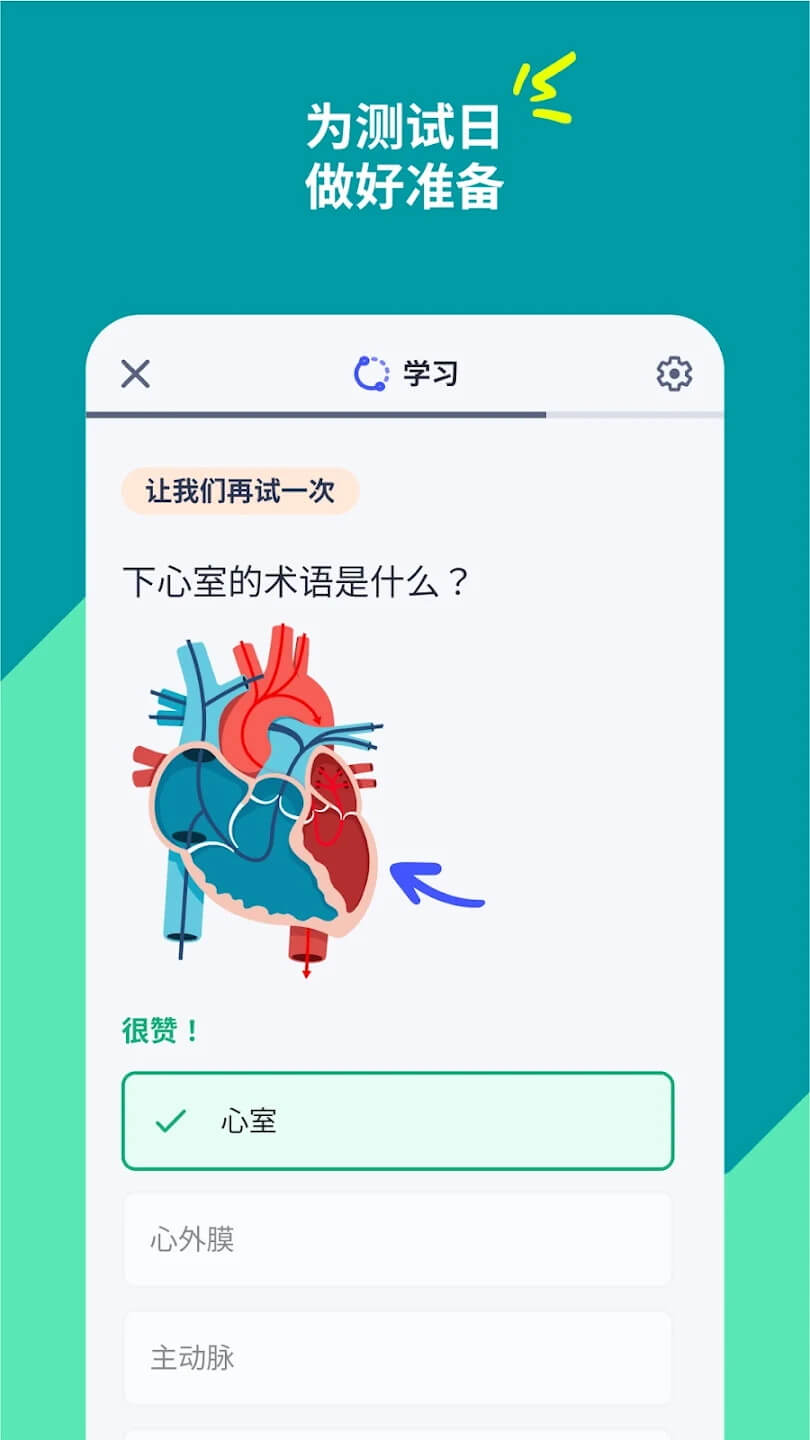 quizlet官方中文版截图3