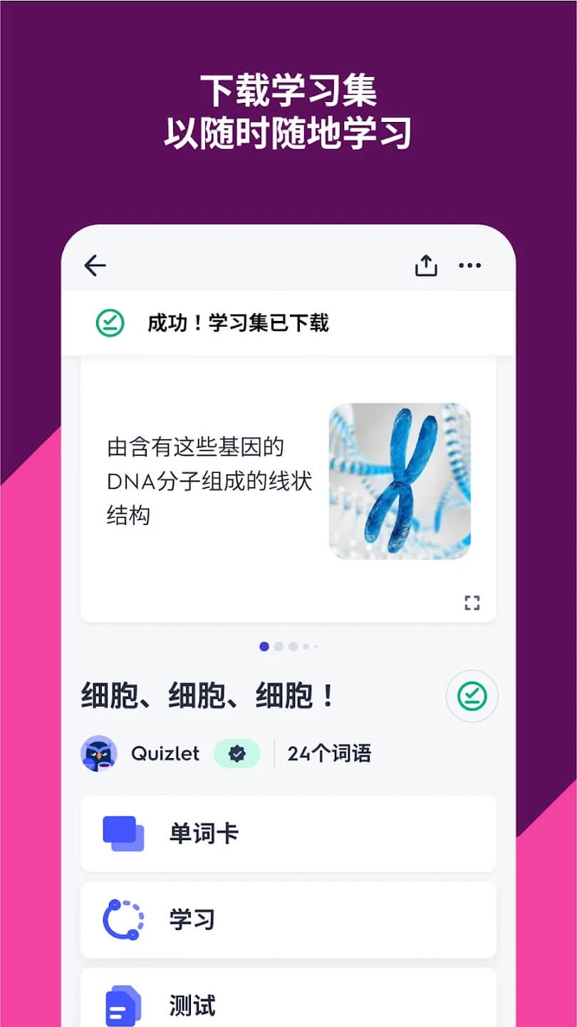quizlet官方中文版截图2