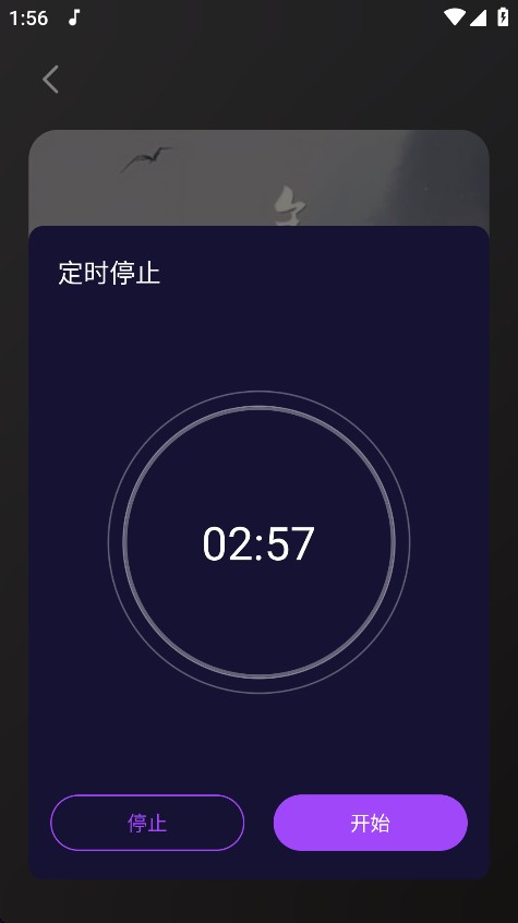 Fly音乐Plus