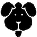 磁力狗官网最新版