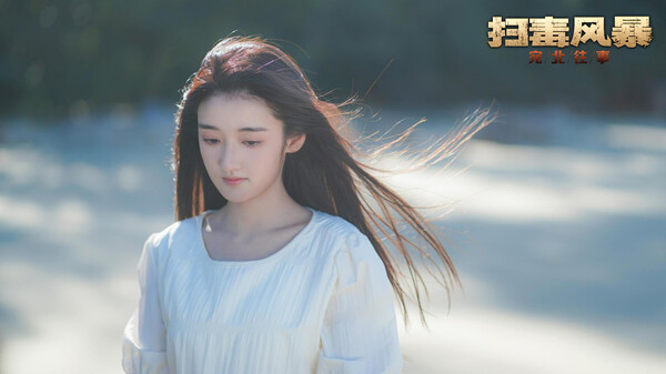 扫毒风暴宛北往事完整版截图3