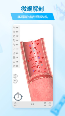 维萨里3d解剖截图4
