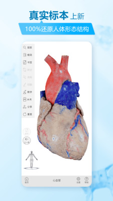 维萨里3d解剖截图1