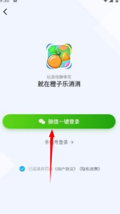 橙子乐消消