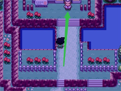 宝可梦SA手机版