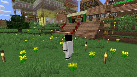 我的世界模拟人生整合包截图3