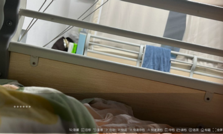 沙湖神大人求包养最新版截图5