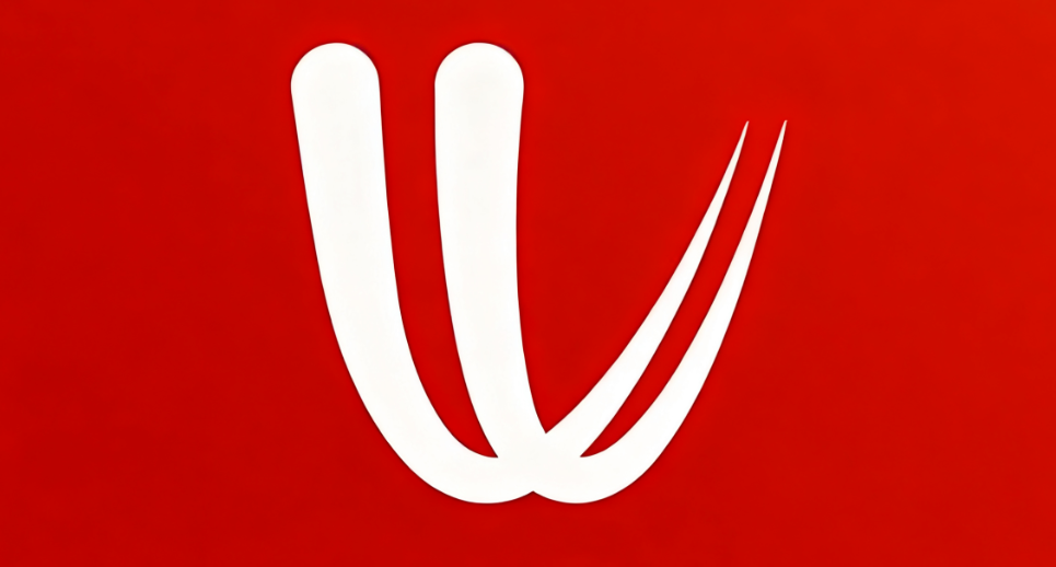 windy气象app大全