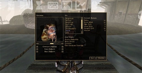 上古卷轴3晨风手机版截图2