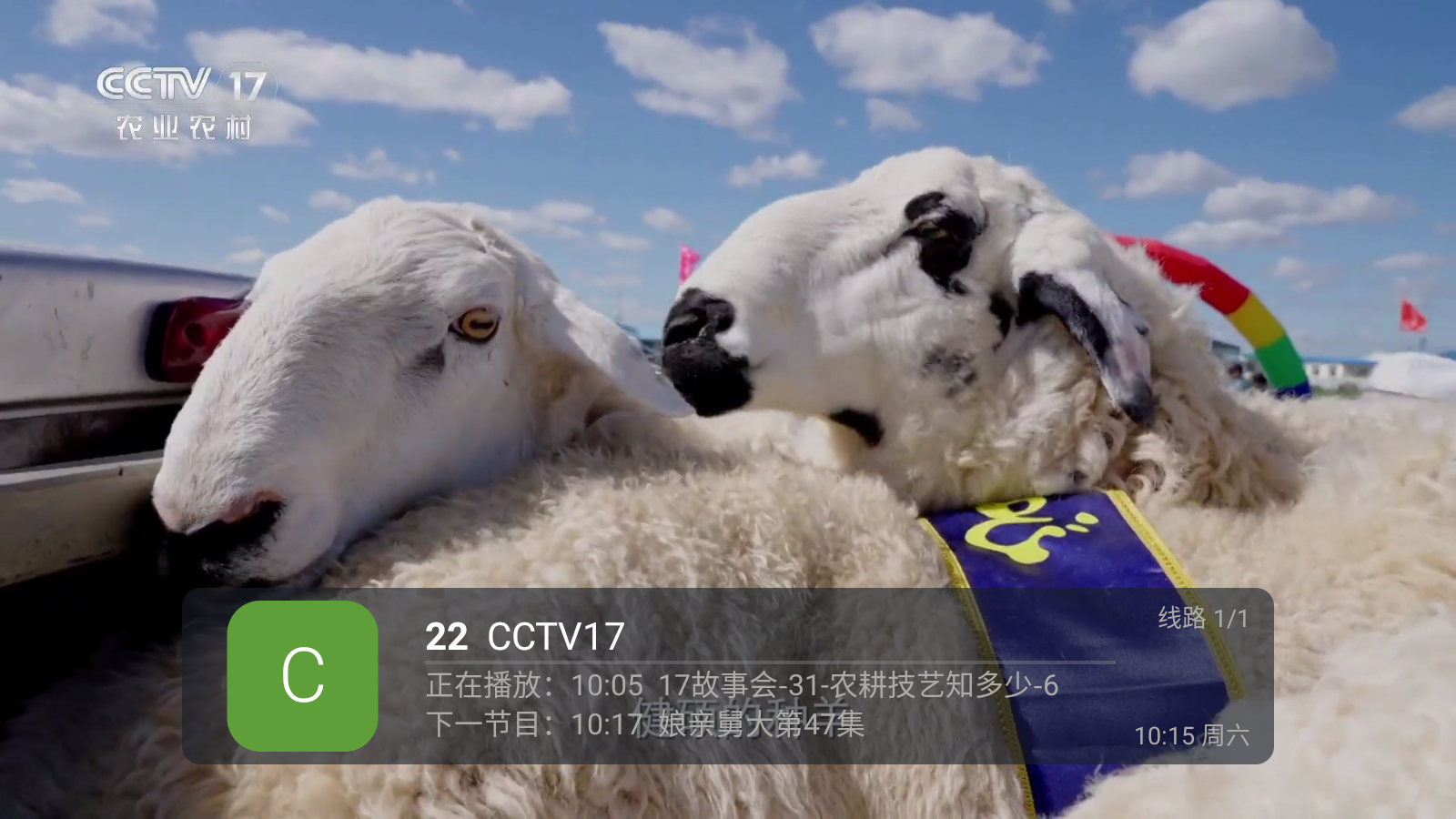 蚂蚁直播tv电视版最新