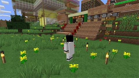 我的世界模拟人生模组手机版