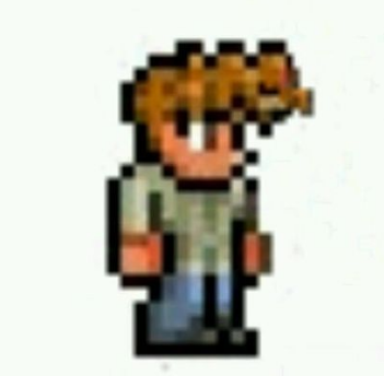 泰拉瑞亚1.4.4.9无敌版