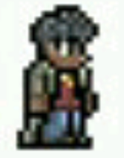 泰拉瑞亚1.4.4.9无敌版