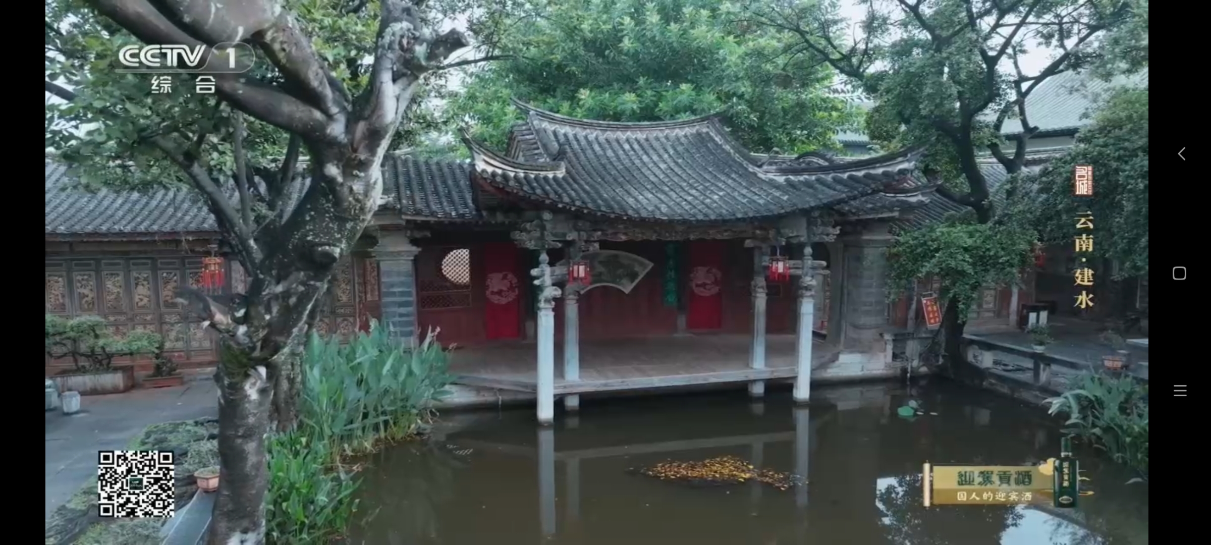 hdtv电视直播免费版截图3