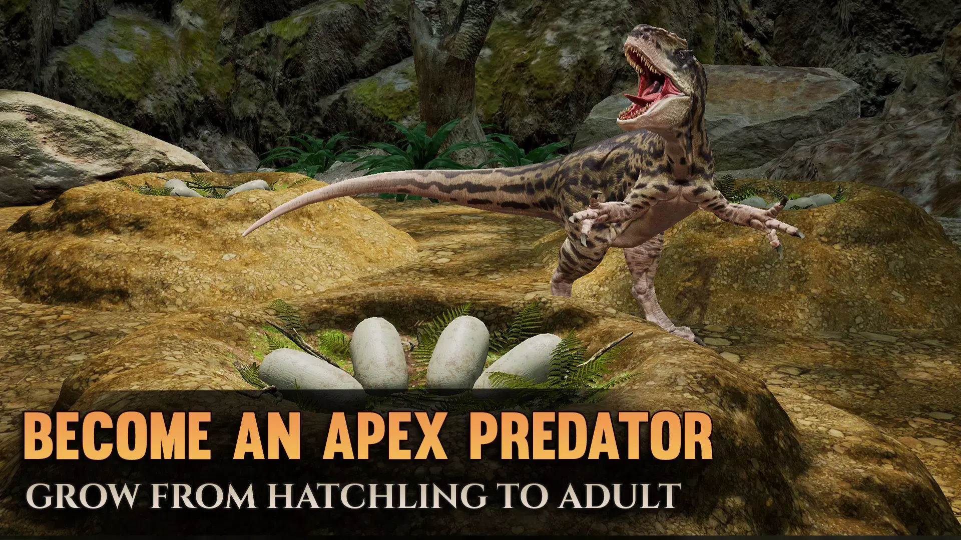 泰坦之路无需登录版截图3