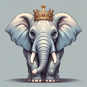 大象直装v6.0免费版(中文版)