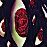 脑叶公司随机Mod