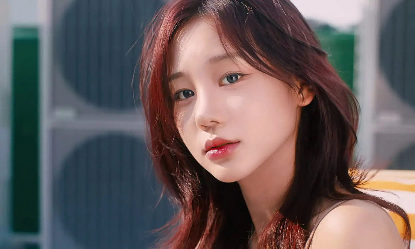 禁止过分投入2夏日大排档