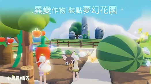 小岛有晴天截图4