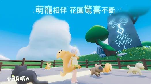 小岛有晴天截图2