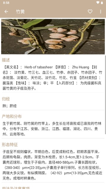 中草药宝典大全软件