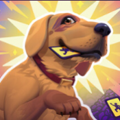 老婆随手扔了我多年珍藏卡牌手机版