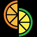 citron模拟器官方正版