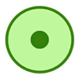 细胞实验室最新版