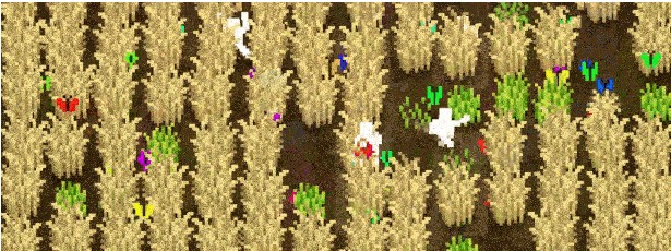 小小梯田(Tiny Terraces)