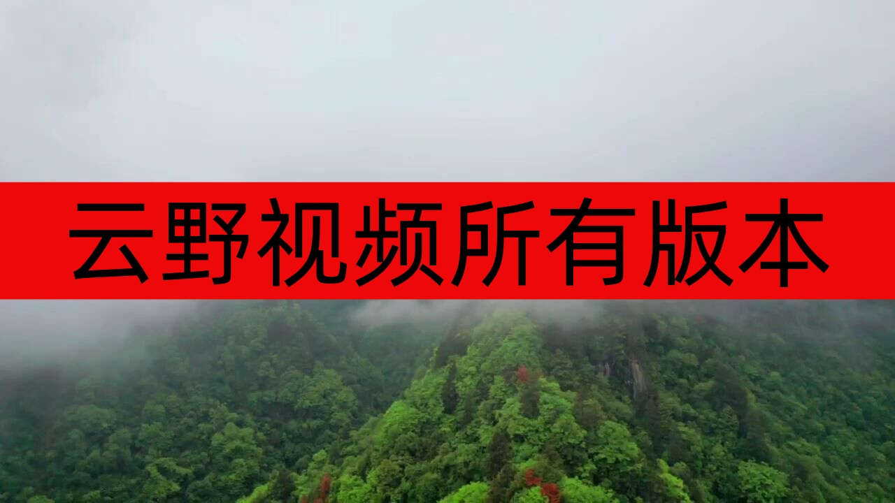 云野视频所有版本