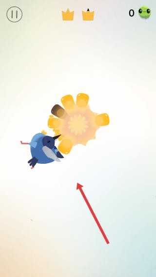 疯狂的鸽子最新版