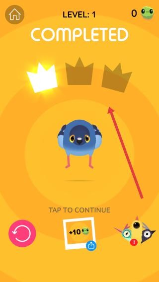 疯狂的鸽子最新版