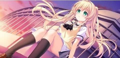 夏日口袋汉化包