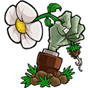 植物大战僵尸转基因版内置菜单