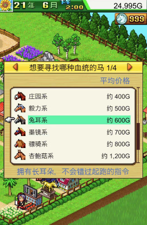 赛马牧场物语汉化版