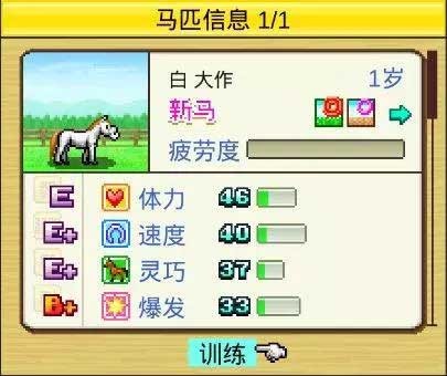 赛马牧场物语汉化版