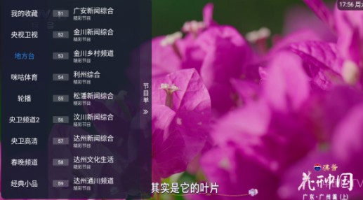 涛涛TV电视直播