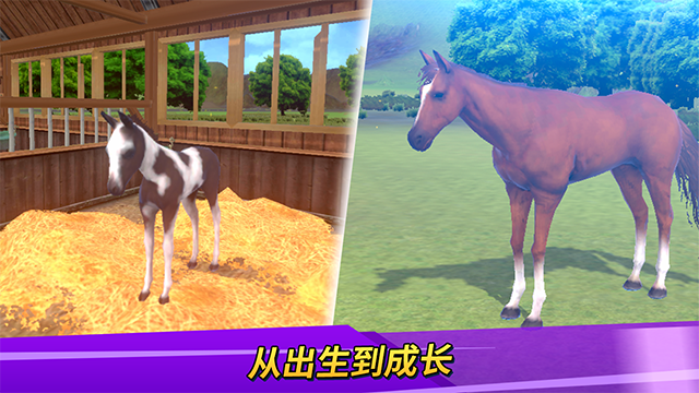 德比生活中文版截图2