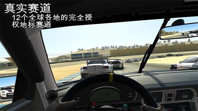真实赛车3官方版截图5