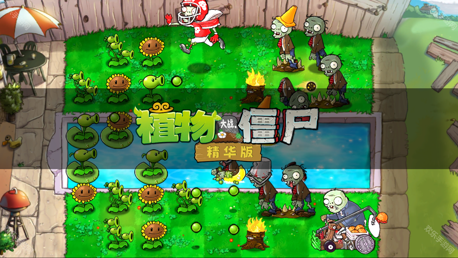 PVZ精华版1.9.0截图2