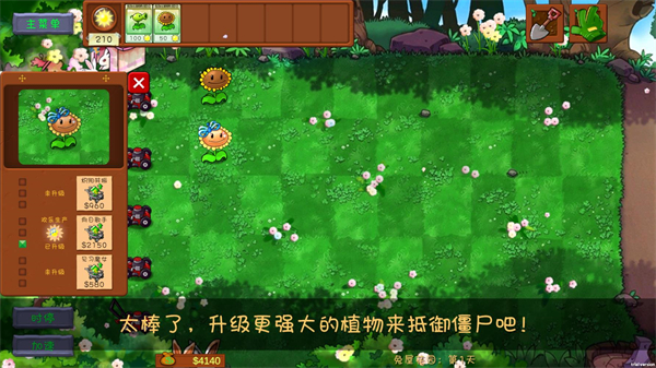 植物大战僵尸共生版2026截图3