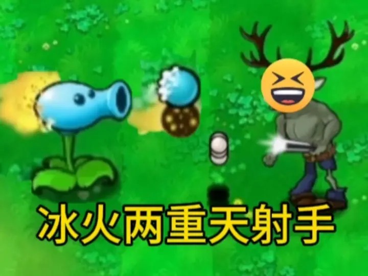 植物大战僵尸逆天版烧杯葵