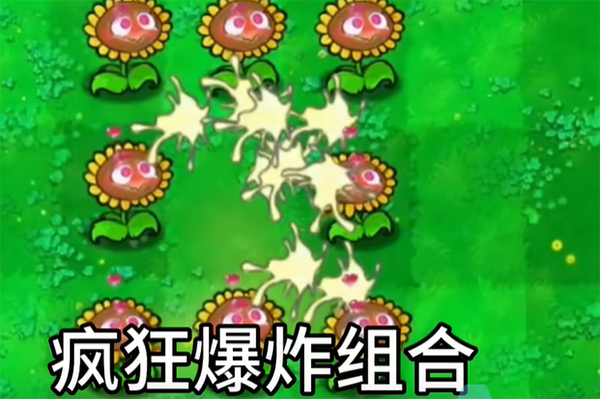 植物大战僵尸逆天版烧杯葵