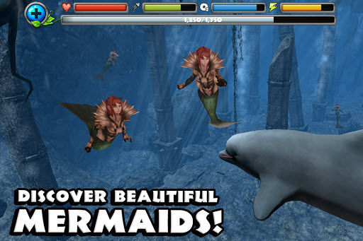 海豚模拟器中文版截图1